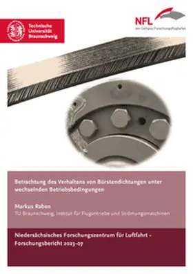 Raben |  Betrachtung des Verhaltens von Bürstendichtungen unter wechselnden Betriebsbedingungen | Buch |  Sack Fachmedien