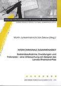 Junkernheinrich / Ziekow / Porth |  Interkommunale Zusammenarbeit | Buch |  Sack Fachmedien