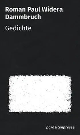Widera |  Dammbruch | Buch |  Sack Fachmedien