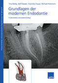 Rödig / Baster / Haupt |  Rödig, T: Grundlagen der modernen Endodontie | Buch |  Sack Fachmedien