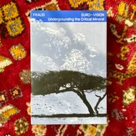 Büsse |  EURO—VISION | Buch |  Sack Fachmedien