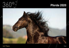 360° Pferde Kalender 2020 | Sonstiges | 978-3-948097-75-2 | sack.de