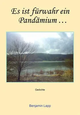 Lapp |  Es ist fürwahr ein Pandämium | Buch |  Sack Fachmedien