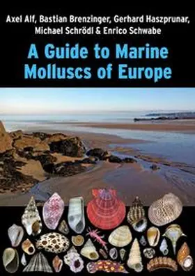 Alf / Brenzinger / Haszprunar |  A Guide to Marine Molluscs of Europe | Buch |  Sack Fachmedien