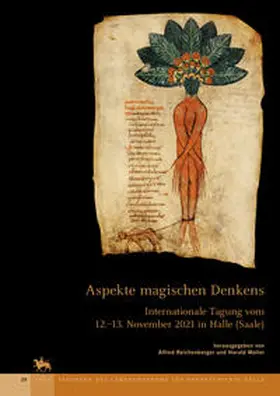 Reichenberger / Meller |  Aspekte magischen Denkens (Tagungen des Landesmuseums für Vorgeschichte Halle 29) | Buch |  Sack Fachmedien