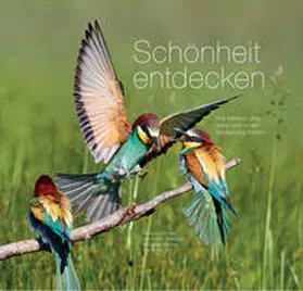 Sinzinger |  Schönheit entdecken | Buch |  Sack Fachmedien