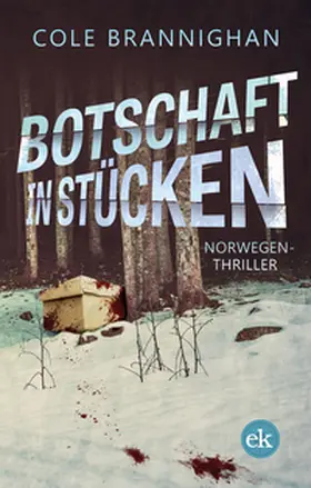 Brannighan | Botschaft in Stücken | E-Book | sack.de