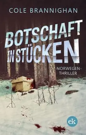 Brannighan | Botschaft in Stücken | E-Book | www.sack.de