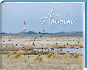 Sturm |  Naturerlebnis Amrum | Buch |  Sack Fachmedien