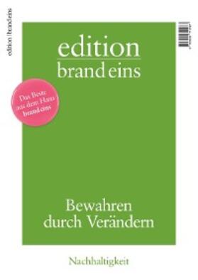 Bergmann / Lotter / Palaß |  edition brand eins: Nachhaltigkeit | eBook | Sack Fachmedien