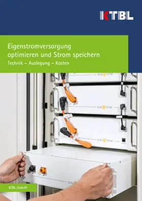 Schmid / Neiber / Puchta |  Eigenstromversorgung optimieren und Strom speichern | Buch |  Sack Fachmedien
