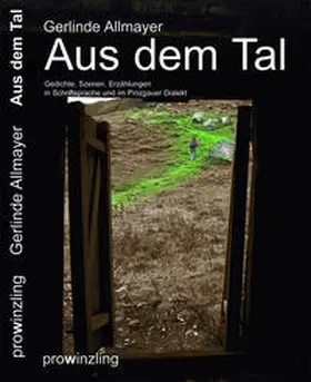 Allmayer |  Aus dem Tal | Buch |  Sack Fachmedien