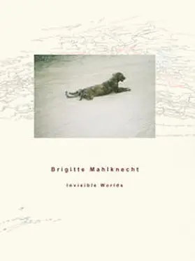 Mahlknecht |  Brigitte Mahlknecht, Invisible Worlds | Buch |  Sack Fachmedien