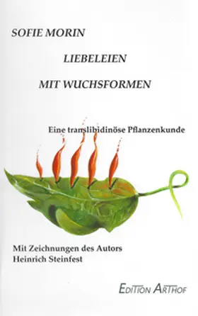 Morin / Steinfest |  Liebeleien mit Wuchsformen | Buch |  Sack Fachmedien