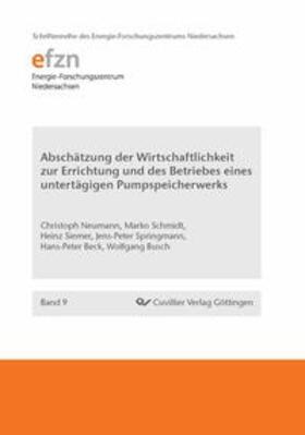 Busch / Neumann / Schmidt | Abschätzung der Wirtschaftlichkeit zur Errichtung und des Betriebes eines untertägigen Pumpspeicherwerks | Buch | 978-3-95404-306-4 | sack.de