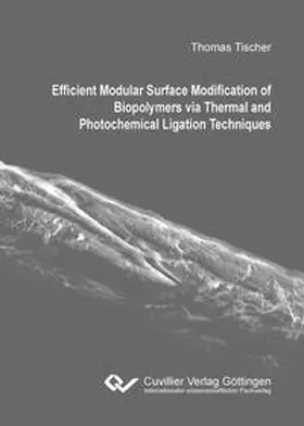 Tischer |  Efficient Modular Surface Modification of Biopolymers via Thermal and Photochemical Ligation Techniques | Buch |  Sack Fachmedien