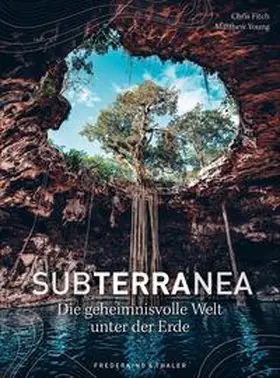 Fitch / Young |  Subterranea | Buch |  Sack Fachmedien
