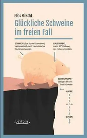 Hirschl |  Glückliche Schweine im freien Fall | Buch |  Sack Fachmedien