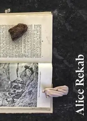 Rekab / Buhrs / Schmid |  Mehrfamilienhaus | Buch |  Sack Fachmedien
