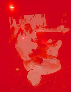 Altin / Ko¨hler / Reich |  Prisma | Buch |  Sack Fachmedien