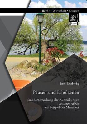 Ludwig |  Pausen und Erholzeiten: Eine Untersuchung der Auswirkungen geistiger Arbeit am Beispiel des Managers | Buch |  Sack Fachmedien
