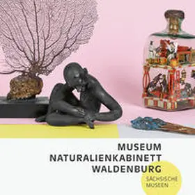 Museum Naturalienkabinett Waldenburg / Stoye |  Museum Naturalienkabinett Waldenburg | Buch |  Sack Fachmedien