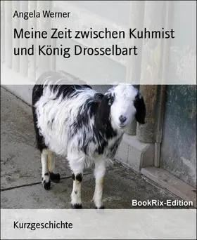 Werner |  Meine Zeit zwischen Kuhmist und König Drosselbart | eBook | Sack Fachmedien