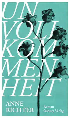 Richter |  Unvollkommenheit | eBook | Sack Fachmedien