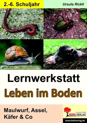 Rickli |  Lernwerkstatt Leben im Boden | eBook | Sack Fachmedien