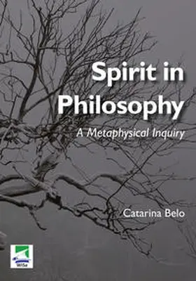 Belo |  Spirit in Philosophy | Buch |  Sack Fachmedien
