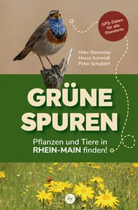 Steinecke / Schmidt / Schubert |  Grüne Spuren | Buch |  Sack Fachmedien