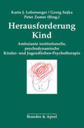 Lebersorger / Sojka / Zumer |  Herausforderung Kind | Buch |  Sack Fachmedien