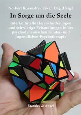 Rosansky / Dag / Dag |  In Sorge um die Seele | Buch |  Sack Fachmedien