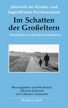 Bründl / Kudritzki / Salamander |  Im Schatten der Großeltern | Buch |  Sack Fachmedien