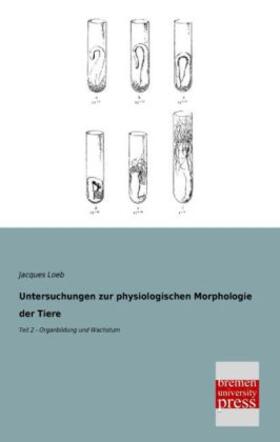Loeb |  Untersuchungen zur physiologischen Morphologie der Tiere | Buch |  Sack Fachmedien