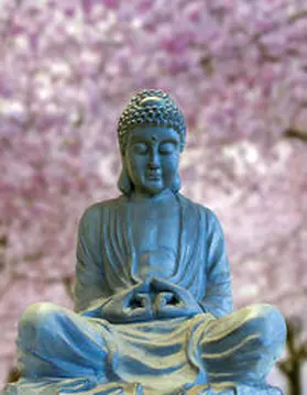 Tushita-Verlag |  Buddha Smile Blankbook | Buch |  Sack Fachmedien