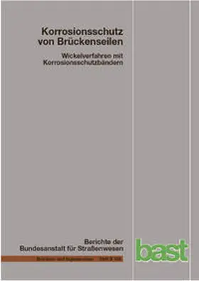 Friedrich |  Korrisionsschutz von Brückenseilen | Buch |  Sack Fachmedien