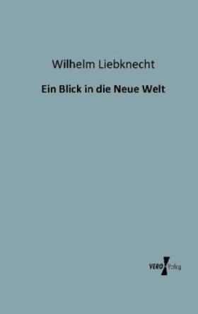 Liebknecht |  Ein Blick in die Neue Welt | Buch |  Sack Fachmedien