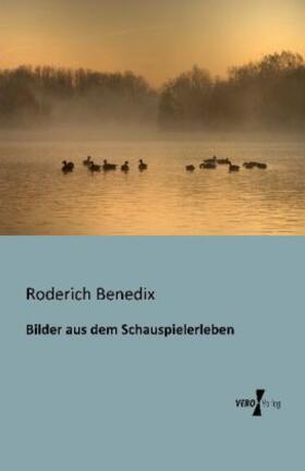 Benedix |  Bilder aus dem Schauspielerleben | Buch |  Sack Fachmedien