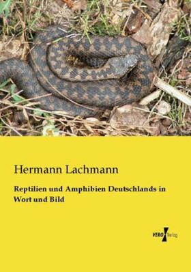 Lachmann |  Reptilien und Amphibien Deutschlands in Wort und Bild | Buch |  Sack Fachmedien