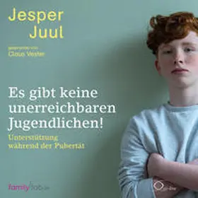 Juul / Voelchert |  Es gibt keine unerreichbaren Jugendlichen! | Sonstiges |  Sack Fachmedien