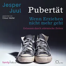 Juul / Voelchert |  Pubertät - wenn Erziehen nicht mehr geht | Sonstiges |  Sack Fachmedien