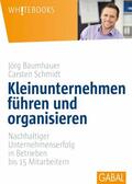 Schmidt / Baumhauer |  Kleinunternehmen führen und organisieren | eBook | Sack Fachmedien