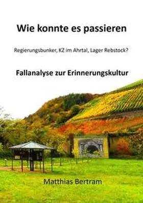 Bertram |  Wie konnte es passieren | Buch |  Sack Fachmedien