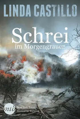Castillo |  Schrei im Morgengrauen | eBook | Sack Fachmedien