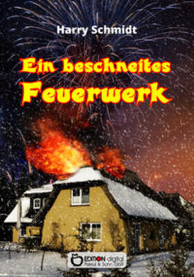 Schmidt | Ein beschneites Feuerwerk | Buch | 978-3-95655-902-0 | sack.de