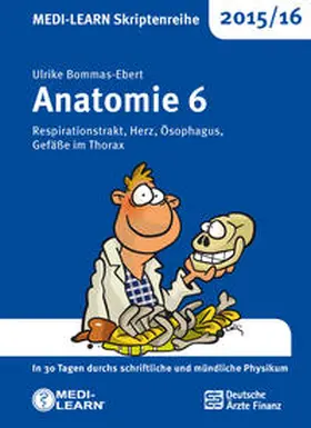 Bommas-Ebert |  MEDI-LEARN Skriptenreihe 2015/16: Anatomie 6 | Buch |  Sack Fachmedien