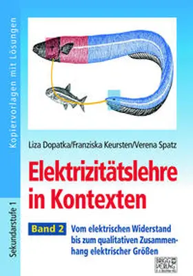 Dopatka / Keursten / Spatz |  Elektrizitätslehre in Kontexten - Band 2 | Buch |  Sack Fachmedien