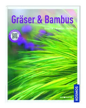 Richter | Kosmos: Gräser & Bambus - Gestalten, Pflanzen, Pflegen | Buch | 978-3-95666-300-0 | www.sack.de