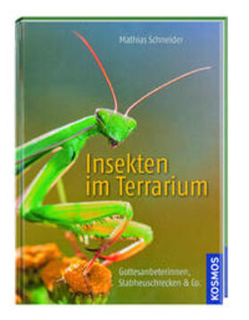 Schneider | Kosmos: Insekten im Terrarium | Buch | 978-3-95666-360-4 | sack.de
